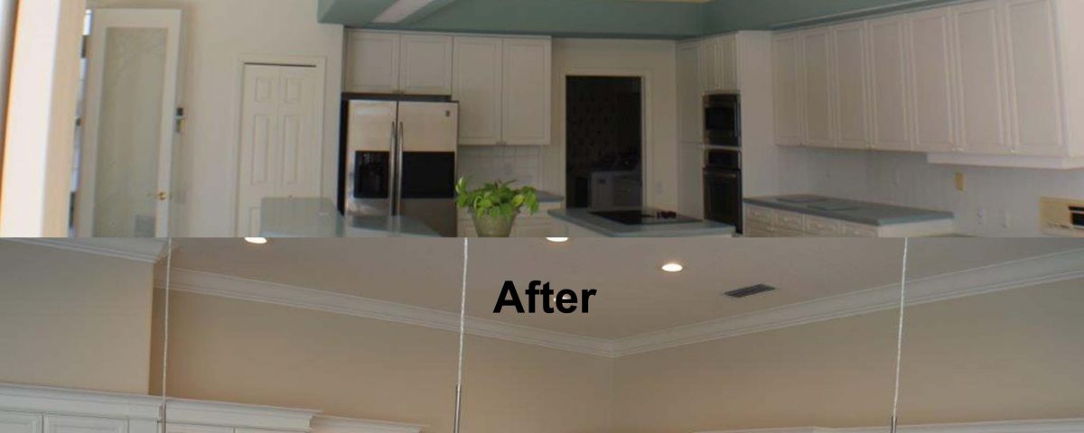 Venice Kitchen Before and After Project Remodeled